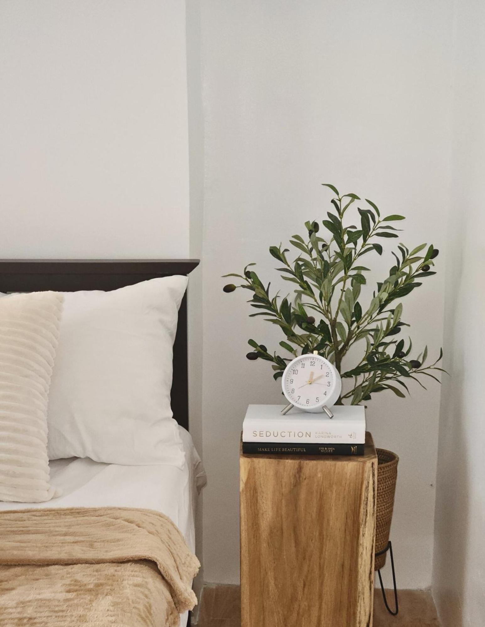 The Traveller'S Haven Airbnb Cebu Kültér fotó